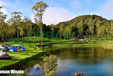 Pilihan Wisata Favorit Buat Anda Tahun Baru, Indah, Asri dan Memuaskan