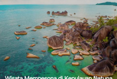 BIKIN TERPANA! Berikut 5 Rekomendasi Wisata Mempesona di Kepulauan Natuna