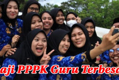 10 Daerah Miliki Gaji PPPK Guru  Lebih Besar dari Gaji PNS, Tembus Rp 8 Juta/Bulan