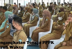 Honorer Tidak Lulus Seleksi PPPK 2024 Akan Diangkat Menjadi Tenaga PPPK Paruh Waktu, Begini Usulan DPR