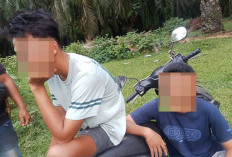 Aksi Nekat Ninja Sawit di Bengkulu Selatan Digagalkan, Pelaku Dikejar Hingga Ditangkap Warga