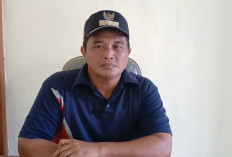 Dinilai Kinerja Terbaik, Desa Durian Sebatang Terima Reward Rp 200 Juta, Patut Jadi Contoh