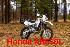 Honda XR650L 2024, Sejak Tahun 1992 Pertahankan Desain Trail Klasik