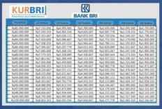 Butuh Modal Usaha? KUR BRI Solusinya! Cek di Sini Anggaran Tersedia