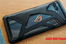 Tetap Jadi Andalan Gamer Profesional, Kepoin Spesifikasi ASUS ROG Phone II di Sini!