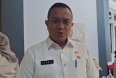 PMN Batch IV Dibuka Pertengahan Juli 2026, Pemprov Bengkulu Targetkan Perusahaan Peserta Sigini! 