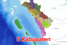 Gandeng 29 Kecamatan, 5 Kabupaten/Kota di Sumbar Ini Pilih Angkat Kaki dan Bentuk Daerah Otonomi Baru