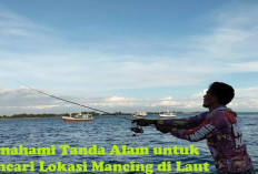 Memahami Tanda Alam untuk Mencari Lokasi Mancing di Laut