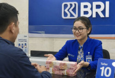 Mau KUR BRI Rp500 Juta Disetujui? Terapkan 3 Langkah Penting Ini Sebelum Mengajukan