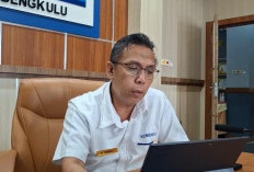 Realisasi Program MBG di Bengkulu Capai Rp 291,91 Miliar, Pekerja Dapat Bpjs 