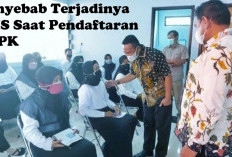 Peringatan Gelombang Kedua, 5 Penyebab Terjadinya TMS Saat Pendaftaran PPPK 2024