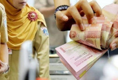 Lama Dinantikan, Akhirnya ASN Nikmati TPP Januari dan Februari 2025, Terbesar Eselon II 