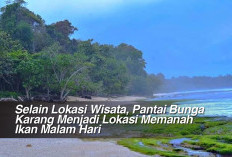 Selain Lokasi Wisata, Pantai Bunga Karang Menjadi Lokasi Memanah Ikan Malam Hari