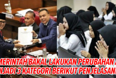 Tahun 2025, Perubahan ASN Menjadi 3 Kategori, Bukan Hanya PNS dan PPPK 