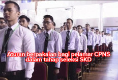 Penting Bagi Pelamar CPNS 2024! Ini Aturan Pakaian SKD