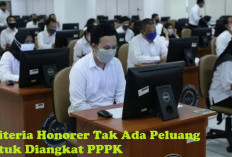 Pastikan Anda Memenuhi Kualifikasi! Ini Kriteria Honorer Tak Ada Peluang untuk Diangkat