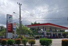 Harga BBM Non Subsidi Melejit! Di Bengkulu Selatan Pertamina Dex Tembus Rp 28.500 per Liter
