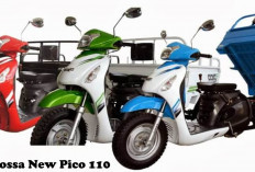 Tossa New Pico 110, Solusi Motor Kargo Tangguh untuk Usaha Mikro
