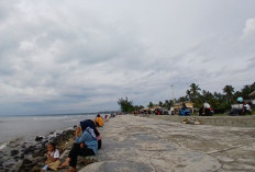 Jelang Tahun Baru, DPRD Minta Pemda Bengkulu Selatan Tertibkan Juru Parkir Liar di Kawasan Wisata