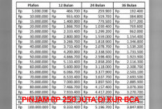 Mau Pinjam Rp 250 Juta di KUR BCA 2025? Ini Cara Pengajuan dan Simulasi Angsurannya!