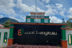 Bank Bengkulu Siapkan KUR Khusus Janda, Bisa Pinjam Hingga Rp 500 Juta