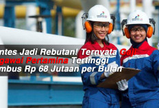 Pantes Jadi Rebutan! Ternyata Gaji Pegawai Pertamina Tertinggi Tembus Rp 68 Jutaan per Bulan