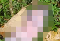 BREAKINGNEWS! Heboh Warga Temukan Bayi Perempuan Dibuang  