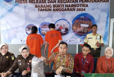 BNN Provinsi Bengkulu Musnahkan 2 Kg Ganja Milik Mahasiswa 