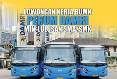 Bagi yang Paham Mesin, Kini Berpeluang Bekerja di DAMRI Kabupaten Seluma, Segini Gaji Diberikan! 