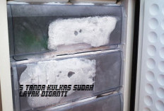 WASPADA! 5 Tanda Kulkas Anda Sudah Layak Diganti Sebelum Rusak Parah