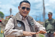 Operasi Merah Putih  Segera Ungkap Aktor Intelektual di Balik Perambahan Habitat Gajah Sumatera