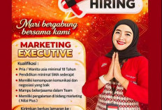 Lowongan Kerja di Astra Motor Bengkulu untuk Posisi Marketing Ececutive, Ini Kualifikasi Lengkapnya