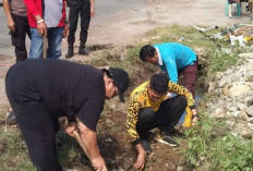Cegah Banjir di Musim Hujan, Camat Kaur Selatan Ajak Warga Rutin Goro Kebersihan Drainase 