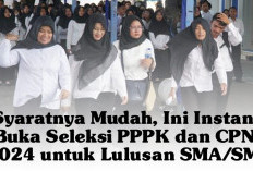 Syaratnya Mudah, Ini Instansi Buka Seleksi PPPK dan CPNS 2024 untuk Lulusan SMA/SMK