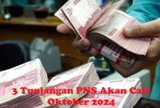 3 Tunjangan Akan Cair Oktober Ini, Tak Semua PNS Menerima