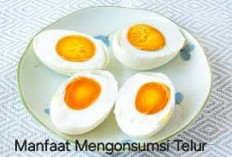 Selain untuk Mengobati Luka Sesudah Operasi, Ini Manfaat Telur untuk Kesehatan