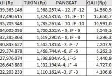 KABAR GEMBIRA! Gaji PPPK Golongan X Cair November 2024, Segini Jumlah yang Diterima