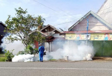 240 Warga di Bengkulu Selatan Diserang DBD, 1 Bocah Baru Berusia 4 Tahun, Apa Langkah Pemda?