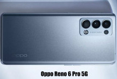 Cek di Sini Yuk, Seperti Apa Kehebatan Kamera Oppo Reno 6 Pro 5G!