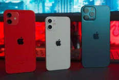Harga iPhone 17 Terbaru Akhir Juli 2026 Resmi Naik, Varian Pro 512 GB Nyaris Tembus Rp30 Juta