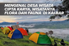 Mengenal Desa Wisata Cipta Karya, Wisatanya Flora dan Fauna  di Kalbar