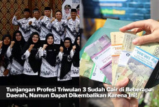 Tunjangan Profesi Triwulan 3 Sudah Cair di Beberapa Daerah, Namun Dapat Dikembalikan Karena Ini!