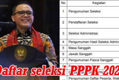 Bolehkah Fresh Graduate Daftar Seleksi   PPPK 2024? Simak Penjelasan MenPAN - RB