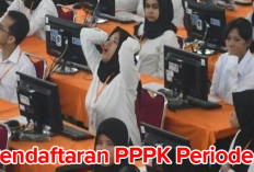 Pendaftaran PPPK Periode 1: BKN Umumkan Ratusan Pelamar TMS