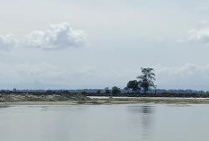 Pulau Baai Jadi Masalah Nasional, Taruhannya Martabat Daerah 