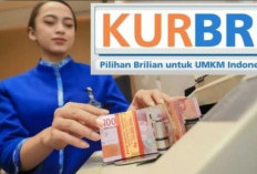 Ajukan Pinjaman KUR BRI Bisa Lewat HP, Begini Cara Daftarnya! 