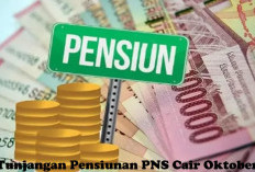 Cair Oktober, Pemerintah Berikan 3 Tunjangan Kepada Pensiunan PNS, di Luar Gaji!