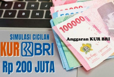 Anggaran KUR BRI Menyisakan Rp 92 Triliun dari Target Rp 175 Triliunan, Ini Syarat Pengajuan KUR BRI