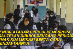 Pendafataran PPPK di KemenPPPA 2024 Telah Dibuka dengan 2 Periode, Simak Kualifikasi Serta Cara Mendaftarnya