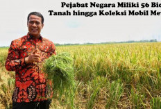 Kekayaan Tembus Rp 1,38 Triliun, Pejabat Negara Ini Miliki 56 Bidang Tanah hingga Koleksi Mobil Mewah